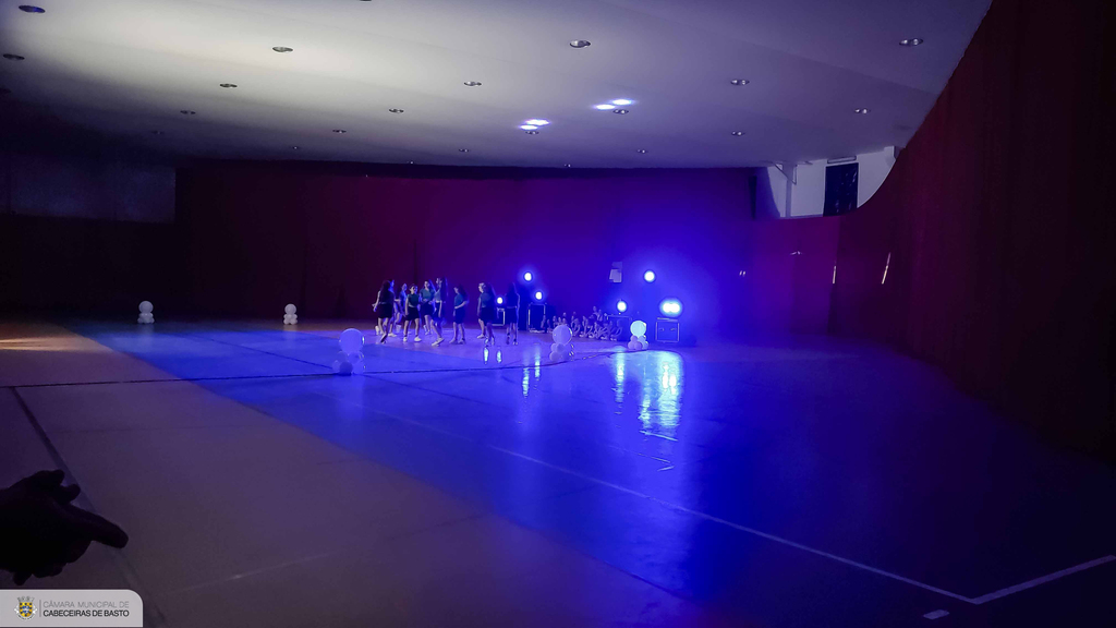 Dia Mundial da Dança