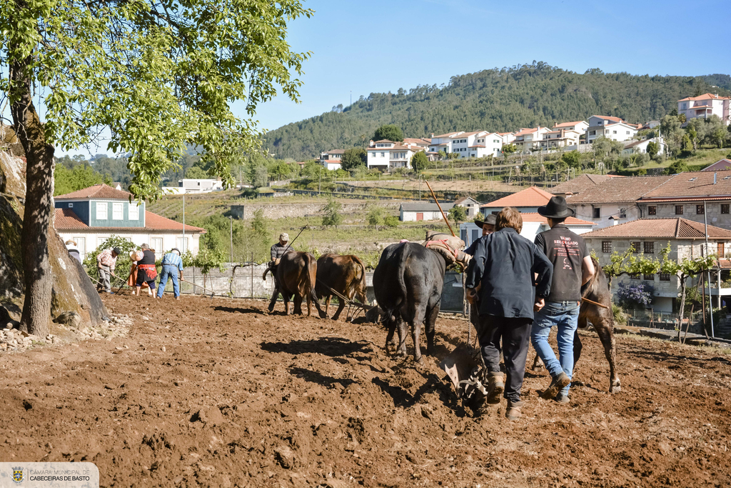 Lavoura Tradicional