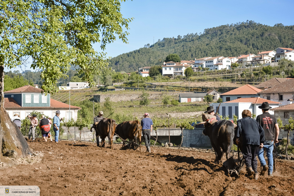 Lavoura Tradicional