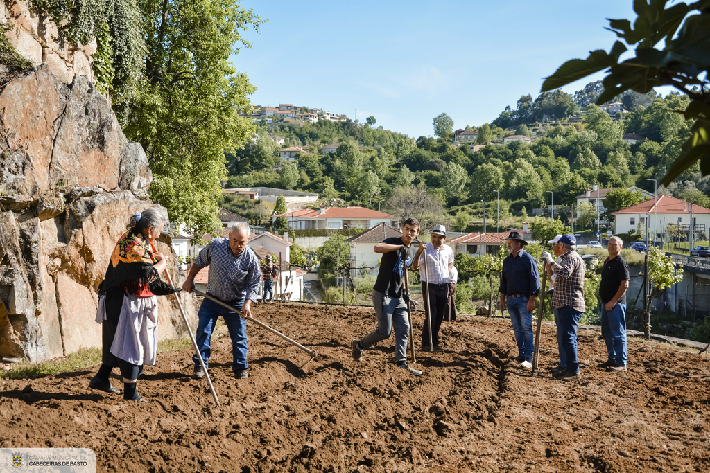Lavoura Tradicional