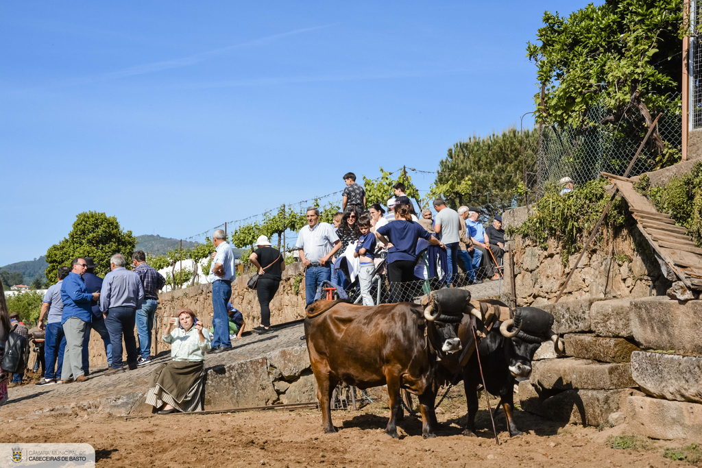 Lavoura Tradicional