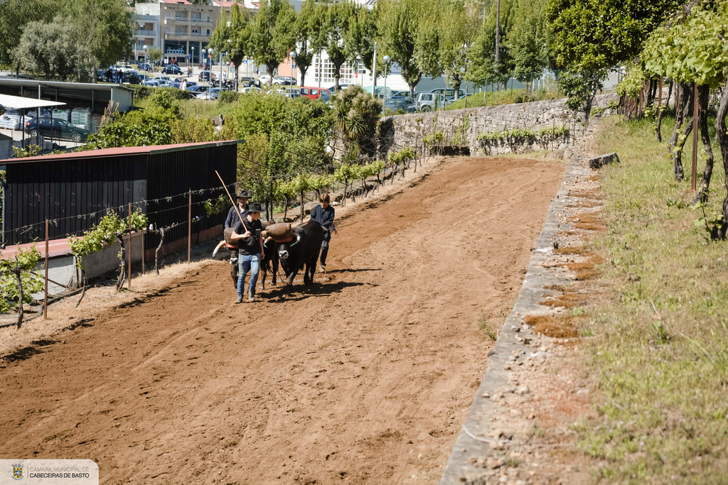 Lavoura Tradicional