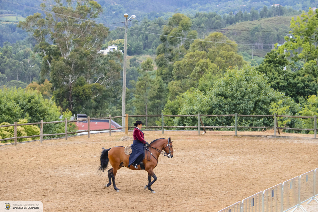 Feira do Cavalo