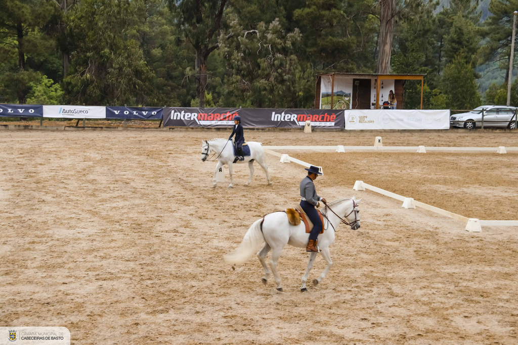 Feira do Cavalo