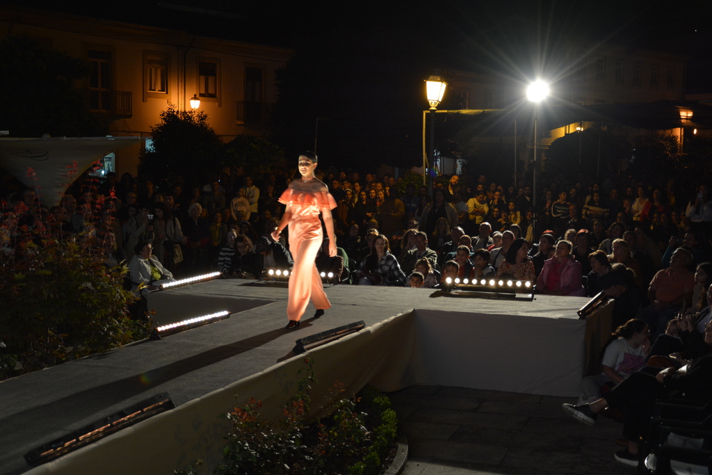 Desfile de Moda