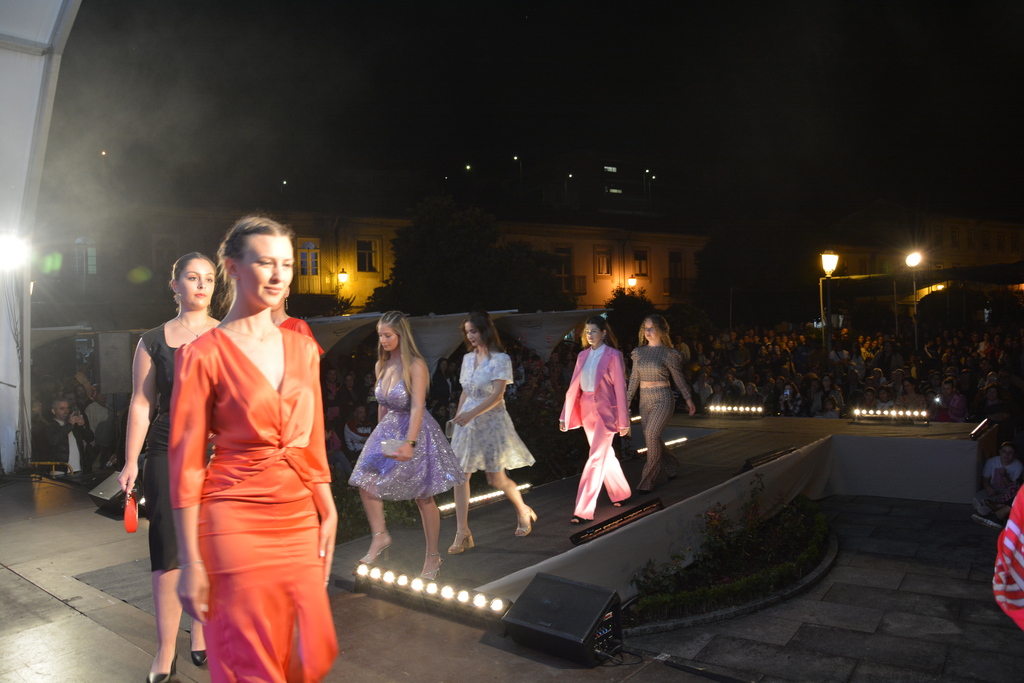 Desfile de Moda