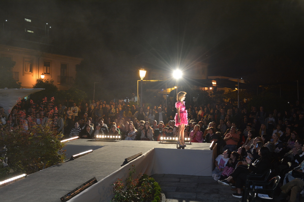 Desfile de Moda
