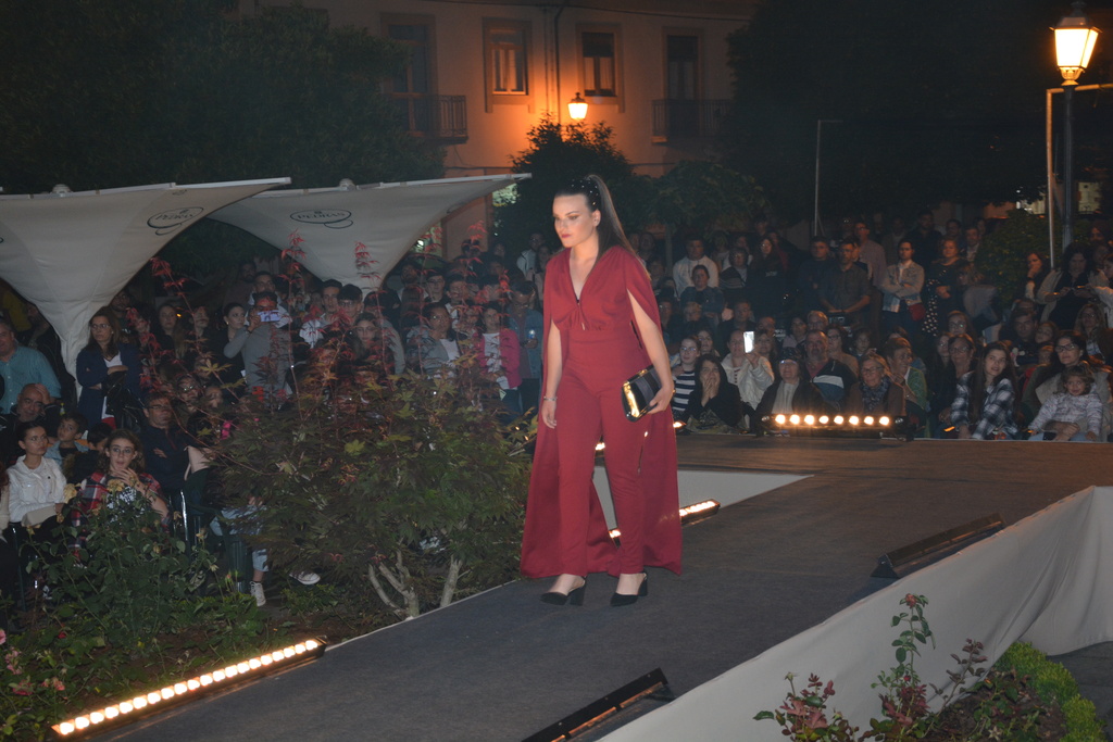 Desfile de Moda