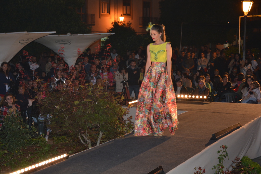 Desfile de Moda