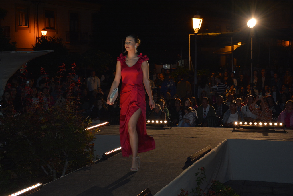 Desfile de Moda