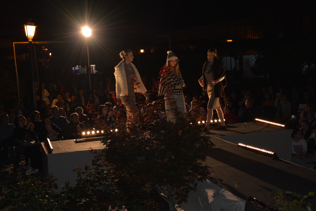 Desfile de Moda