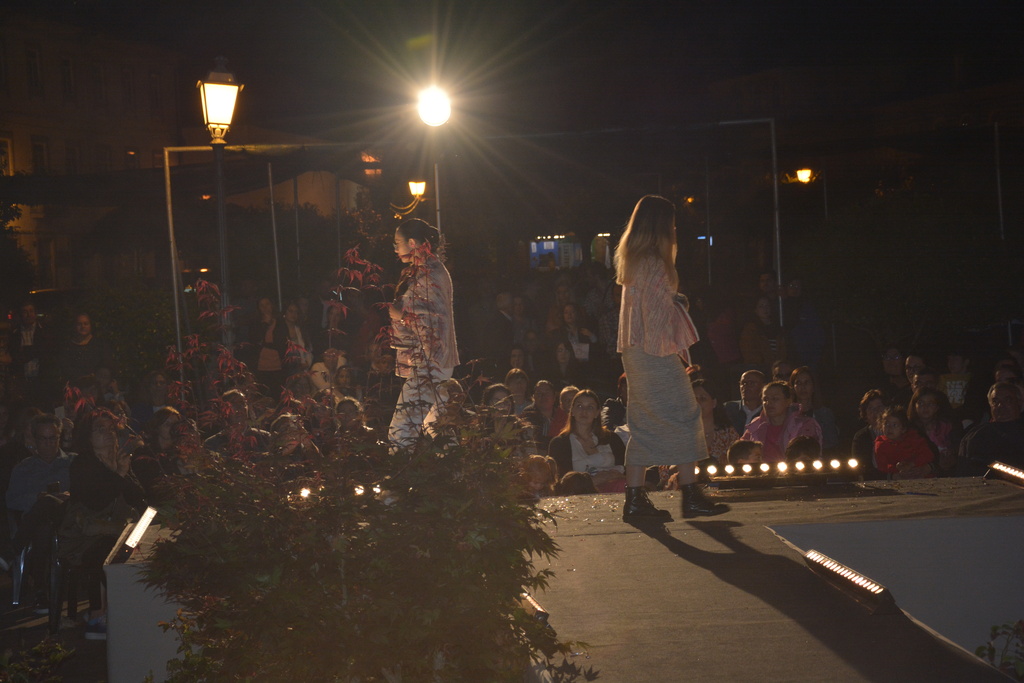 Desfile de Moda