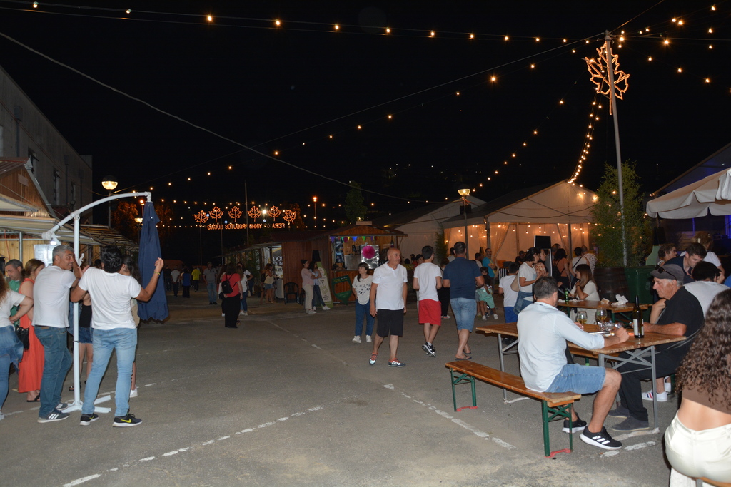 Feira do Vinho Verde e dos Produtos Locais