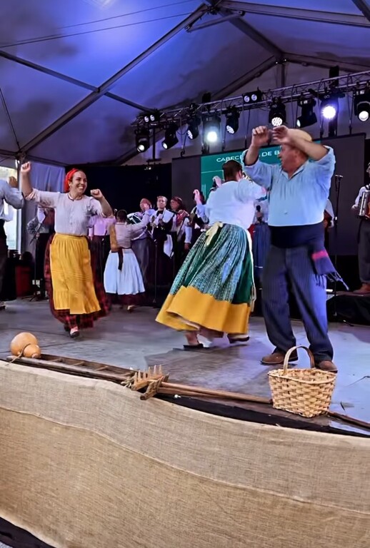 Feira do Vinho Verde e dos Produtos Locais