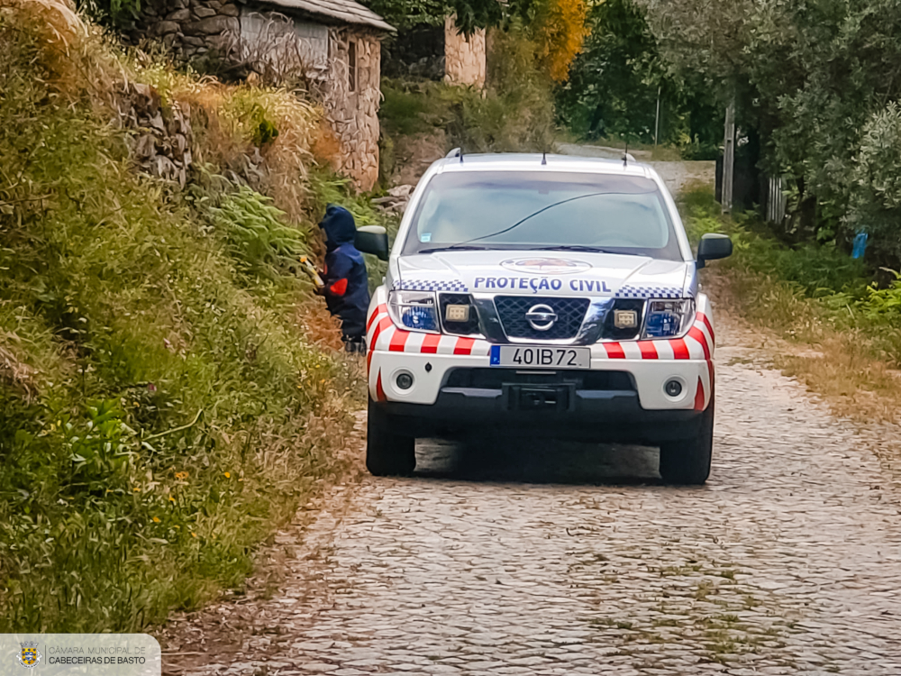 Destruídos 287 ninhos de vespa asiática em Cabeceiras de Basto