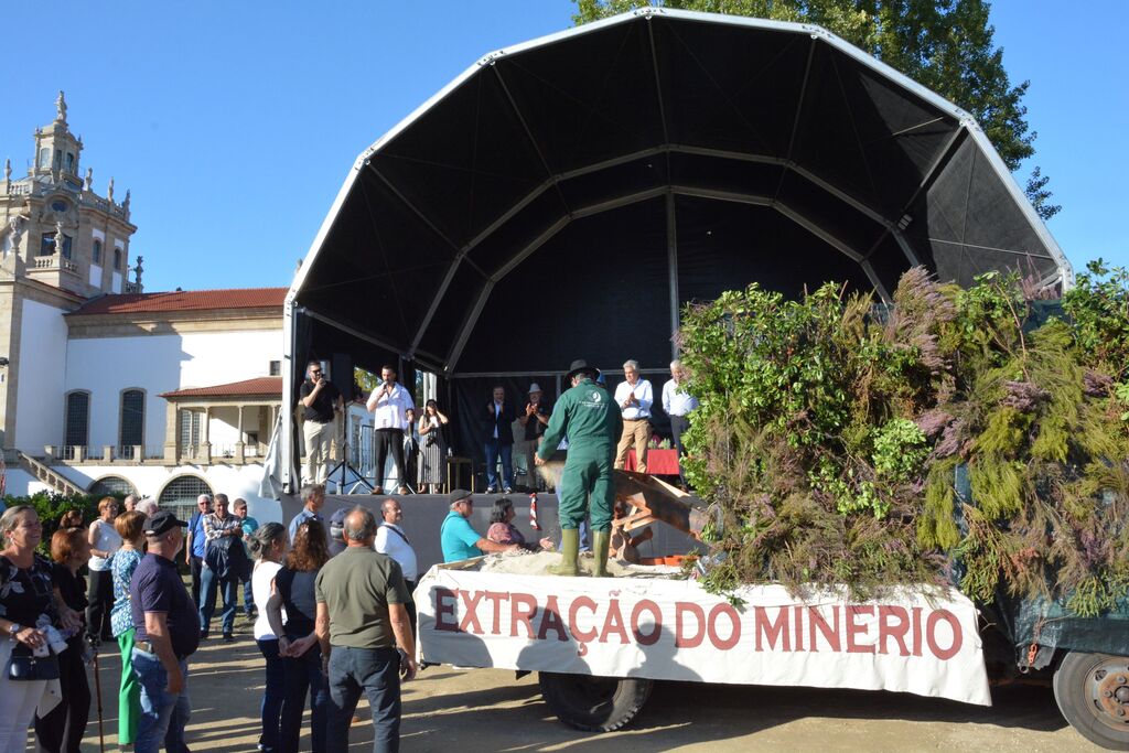 Cortejo Etnográfico