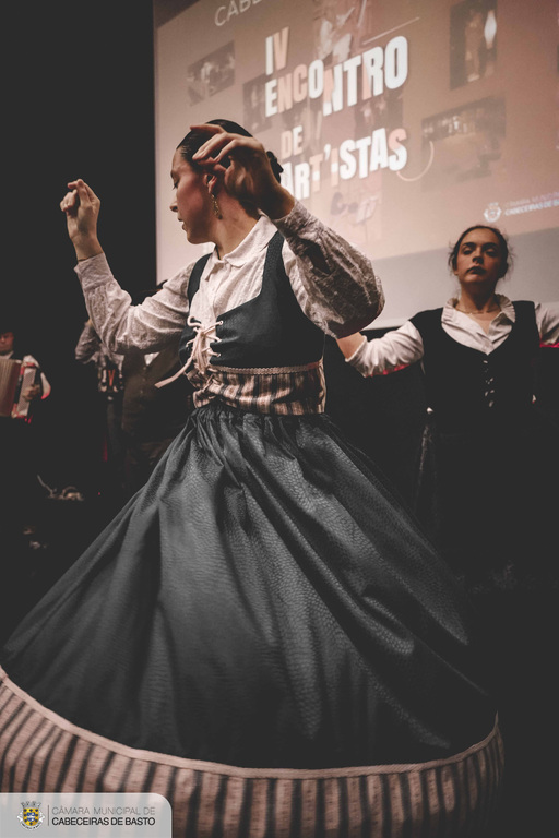 Encontro de Art’istas