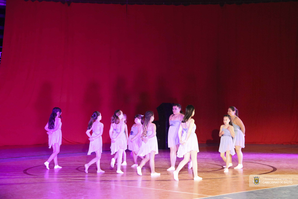 Dia da Dança
