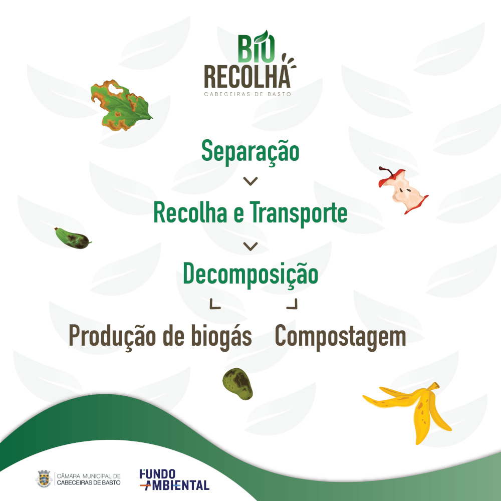 BioRecolha em Cabeceiras de Basto