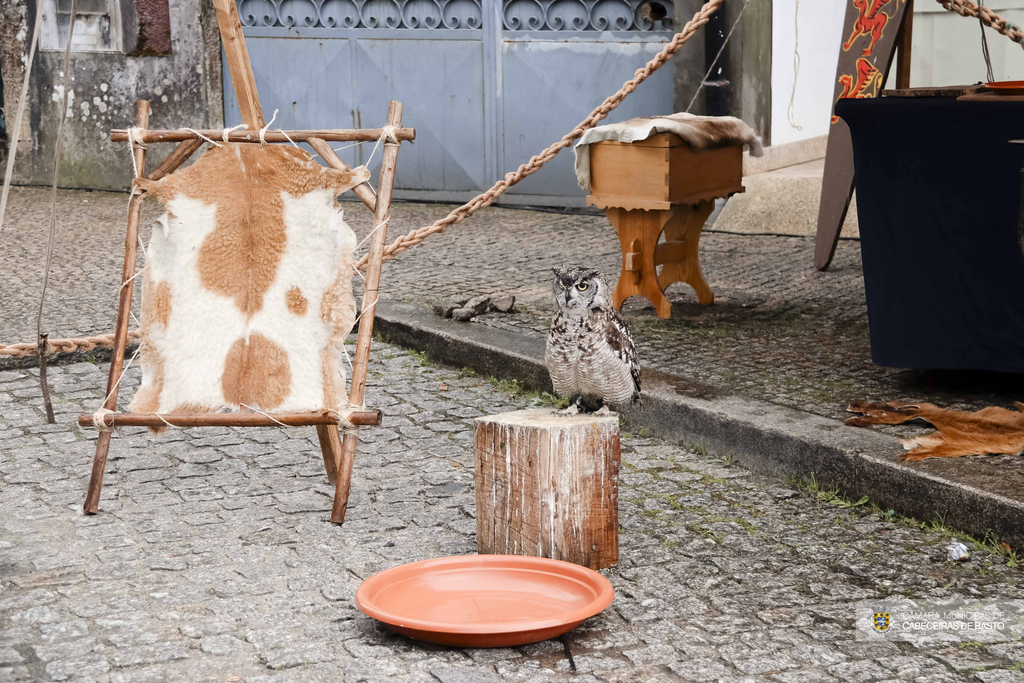 Feira dos Saberes e Sabores - Feira Medieval