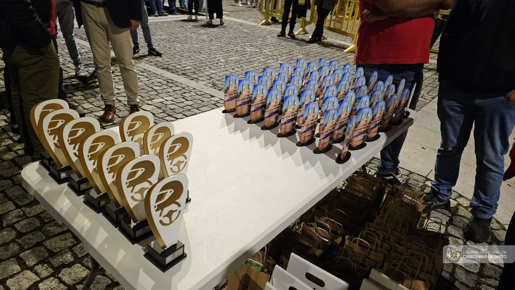 1.ª Perícia de Cabeceiras de Basto