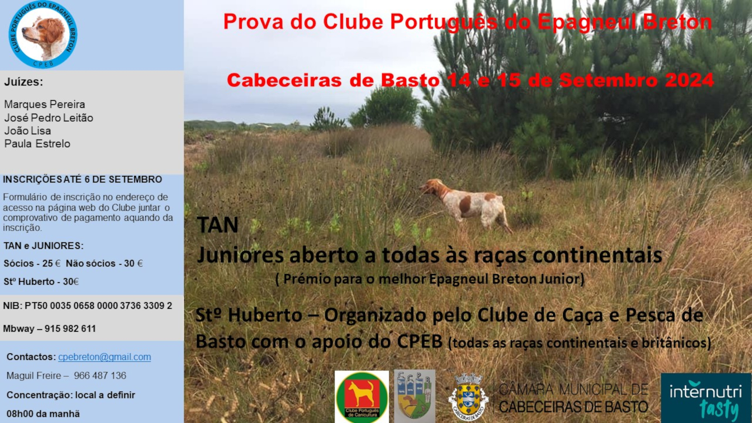 Concurso com Cães de Parar em Cabeceiras de Basto