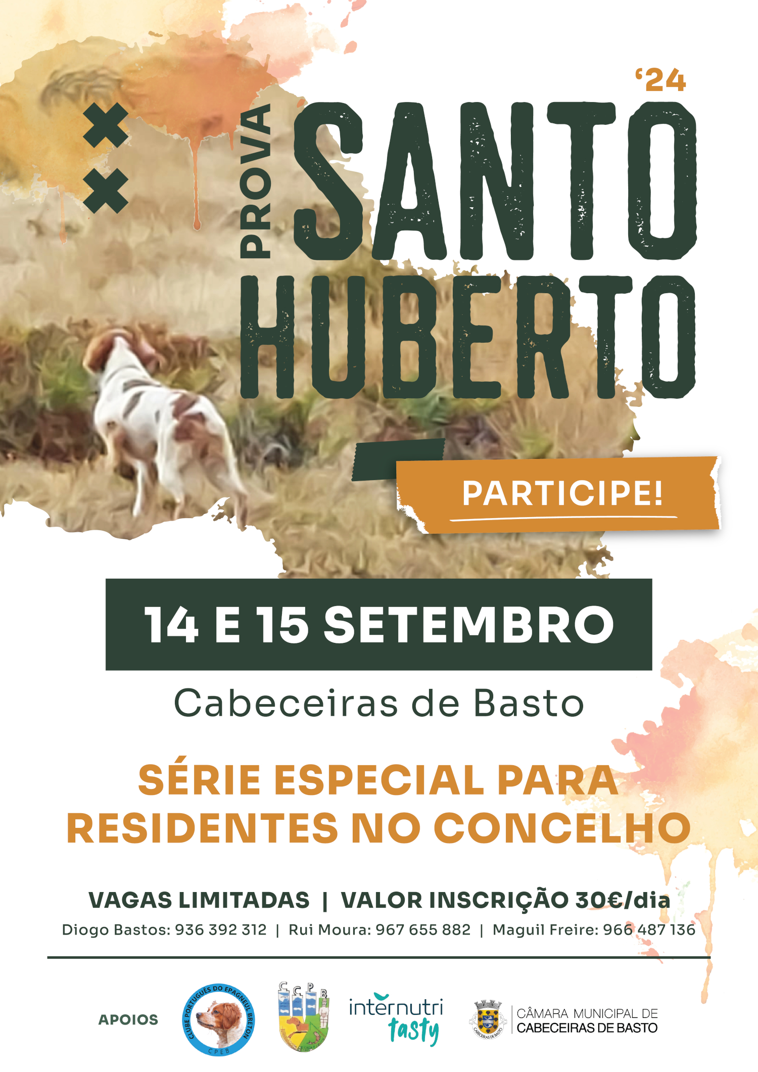 Concurso com Cães de Parar em Cabeceiras de Basto