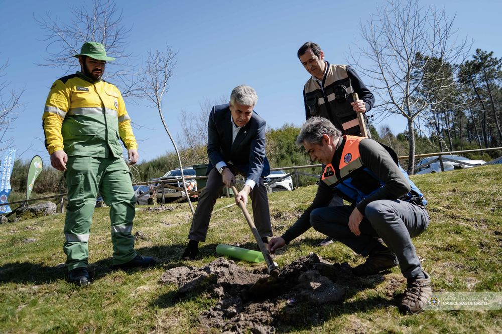 Leia mais sobre Plantação de bosque autóctone com lódão em Abadim e Bucos