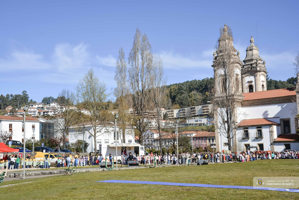 Exposição de meios