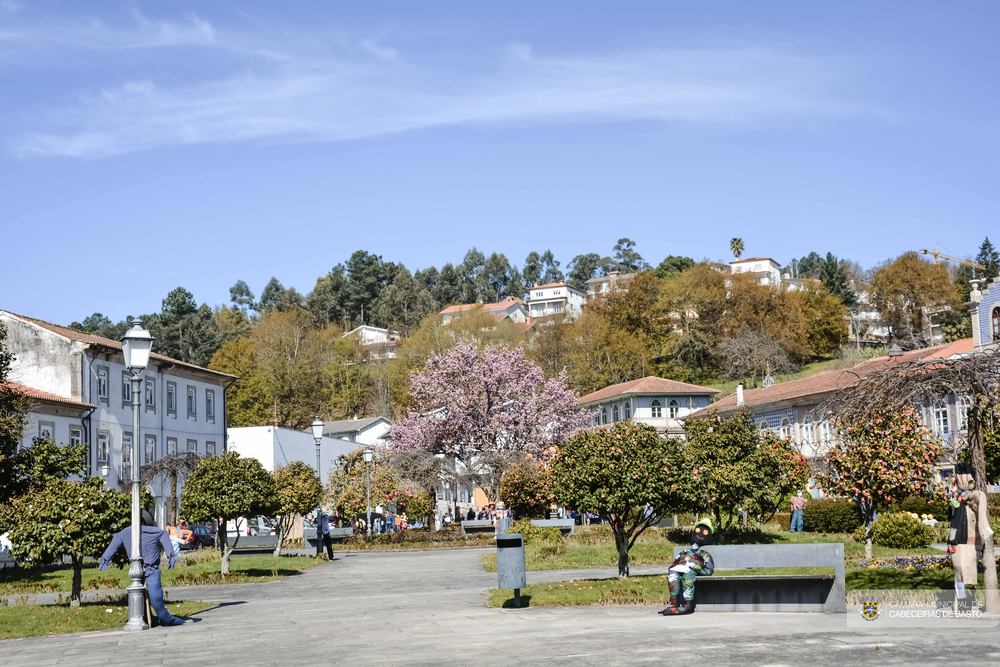 Exposição de meios