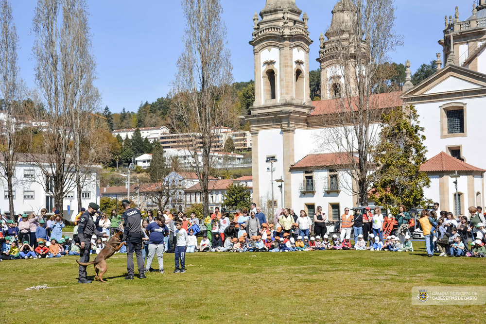 Exposição de meios