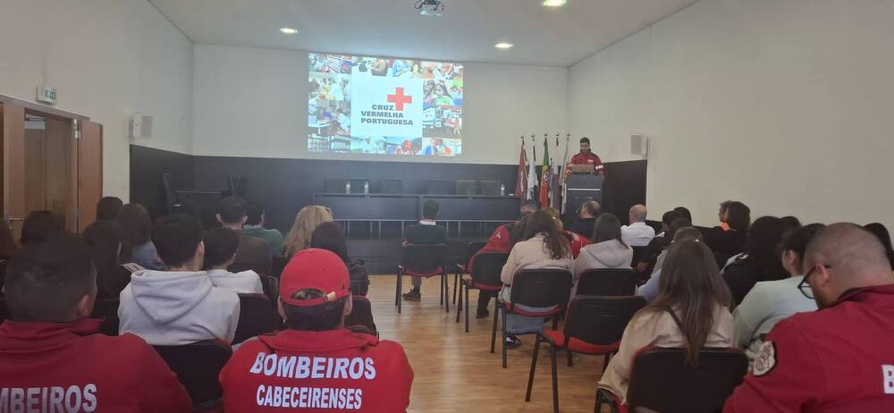 Voluntariado em Contexto de Emergência