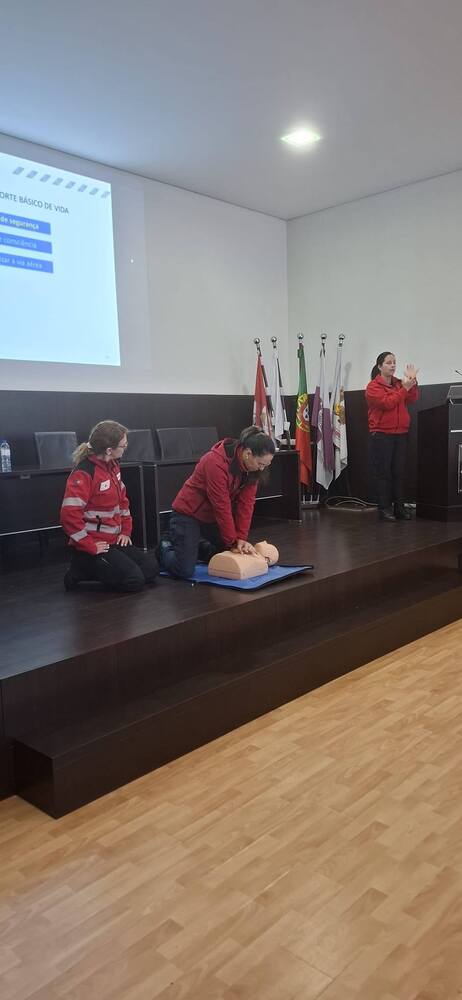 Voluntariado em Contexto de Emergência
