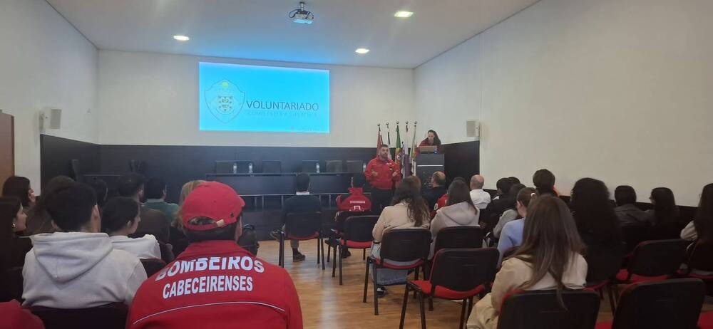 Voluntariado em Contexto de Emergência