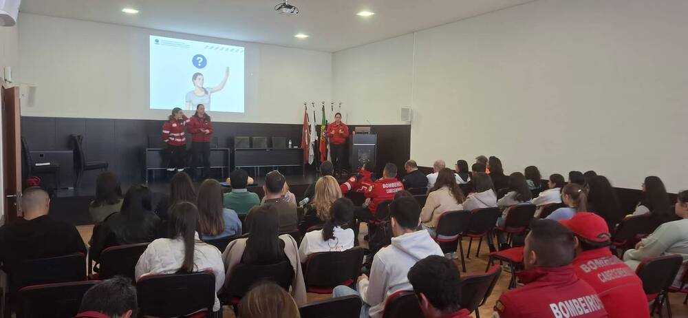 Voluntariado em Contexto de Emergência