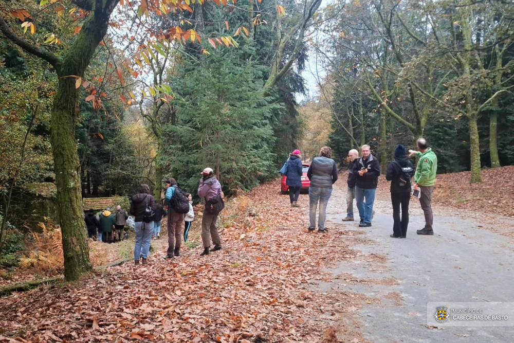 Leia mais sobre 1.ª Conferência Internacional sobre as Causas de Incêndios Florestais (WIC25)