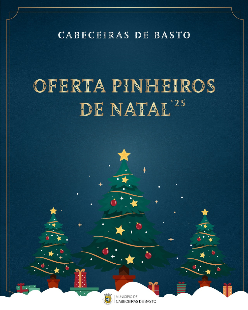 Leia mais sobre Oferta de Pinheiros de Natal