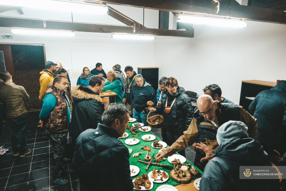 Leia mais sobre À descoberta dos cogumelos no 8.º Encontro Micológico da Serra