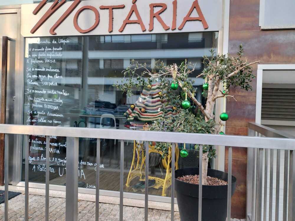 Montras Mágicas de Natal