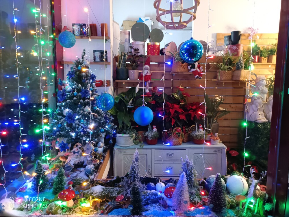 Montras Mágicas de Natal