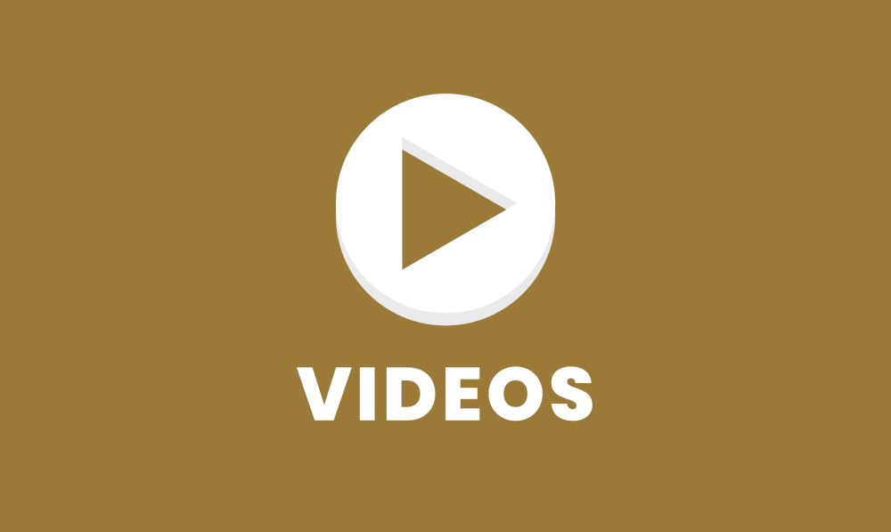 Arquivo de Município