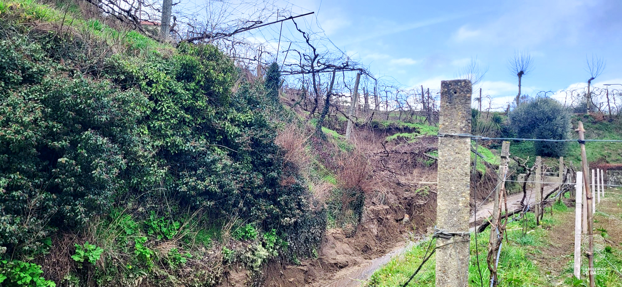 Efeitos do mau tempo