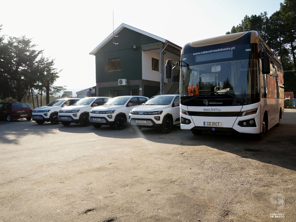 Frota automóvel elétrica