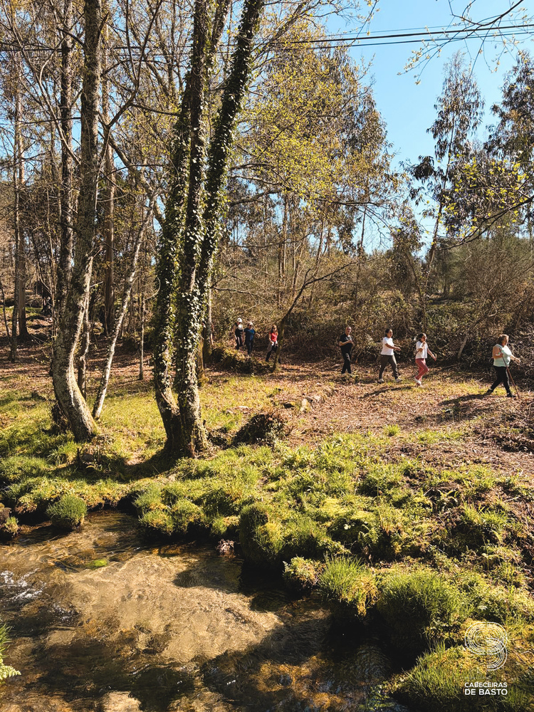 Caminhada da Primavera