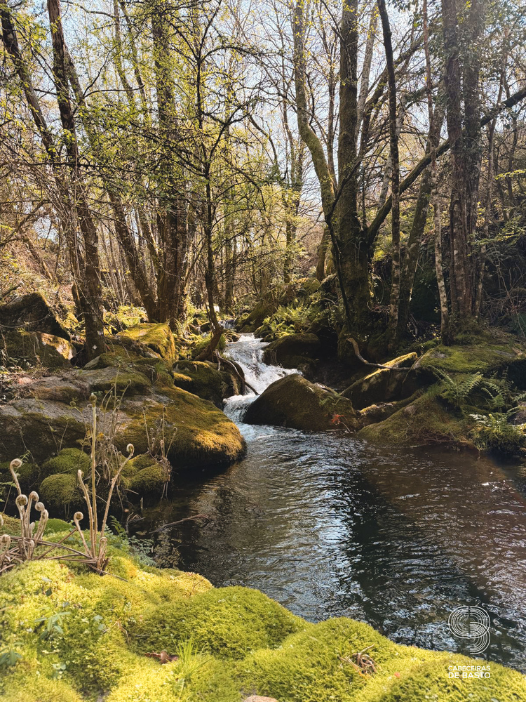 Caminhada da Primavera