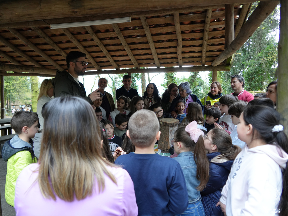 Dia Mundial da Árvore