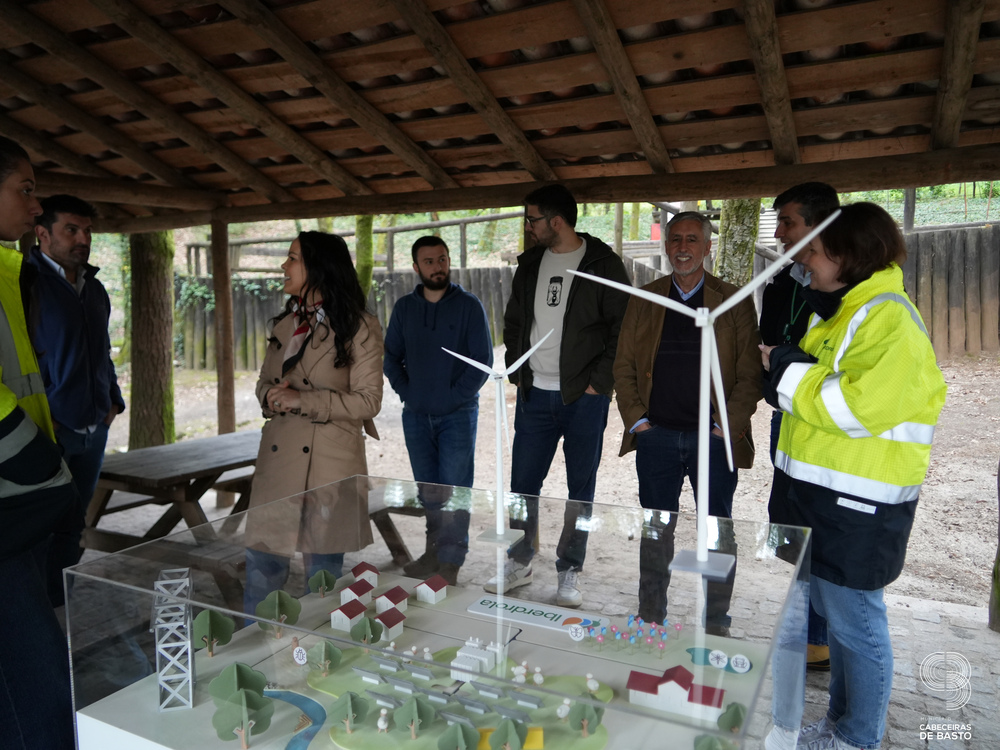 Dia Mundial da Árvore