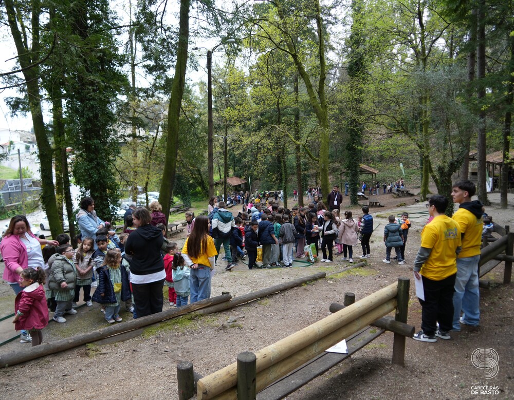 Dia Mundial da Árvore