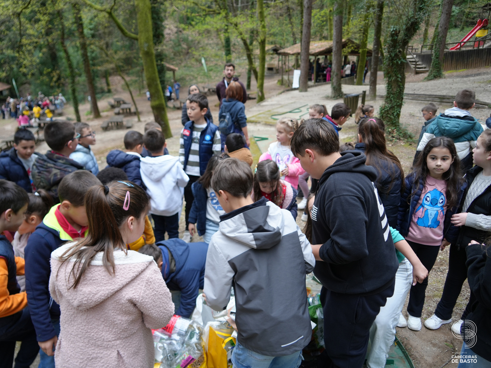 Dia Mundial da Árvore
