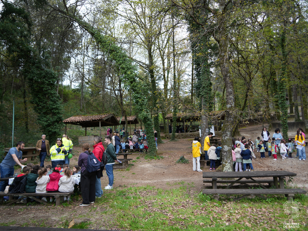 Dia Mundial da Árvore